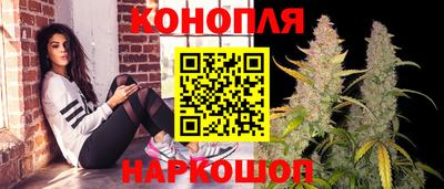 МДПВ Пушкино