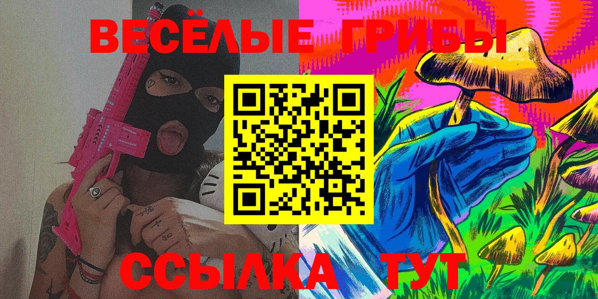 Галлюциногенные грибы Psilocybe Протвино