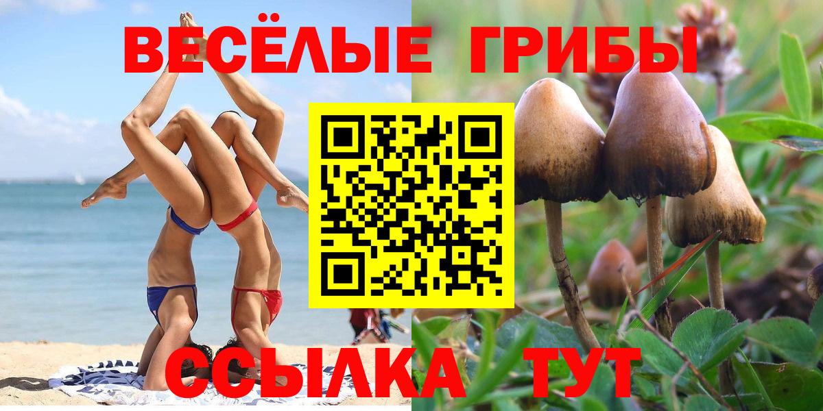 Протвино  Псилоцибиновые грибы Magic Shrooms  Вход с VPN 